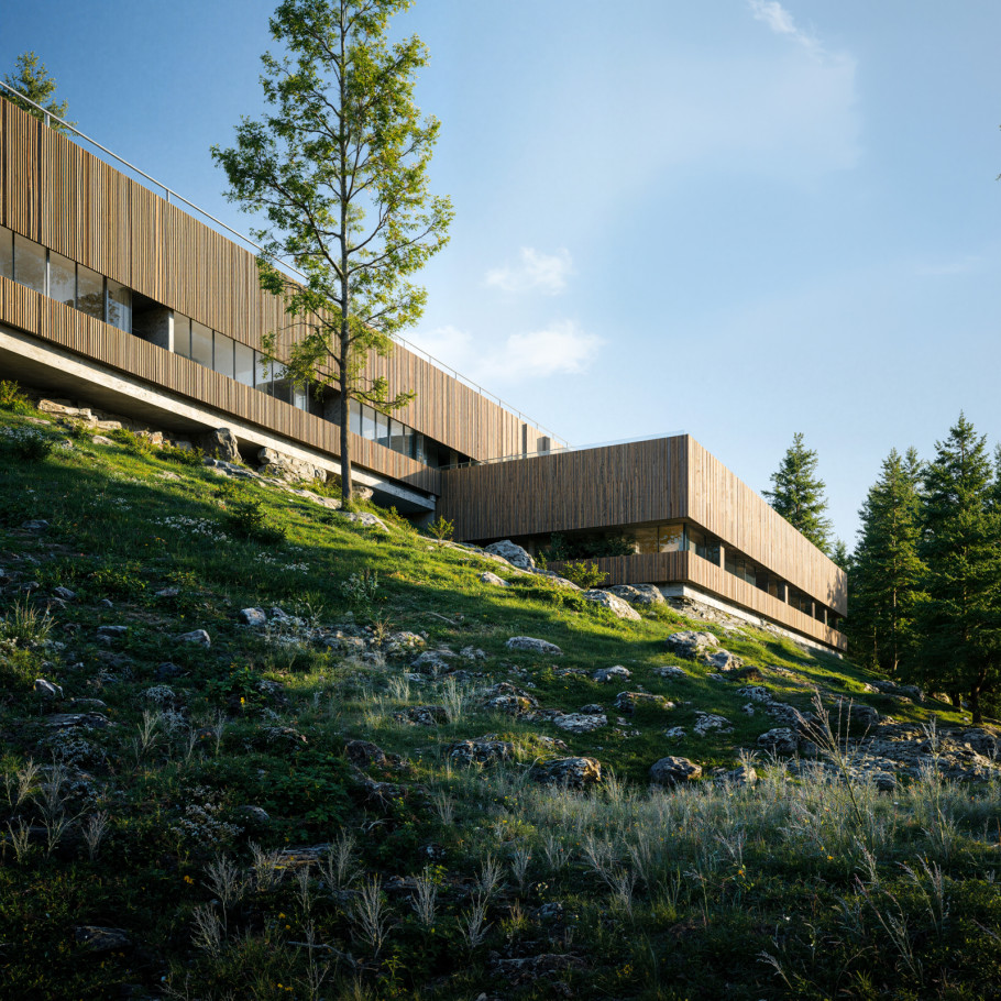 Forest House
