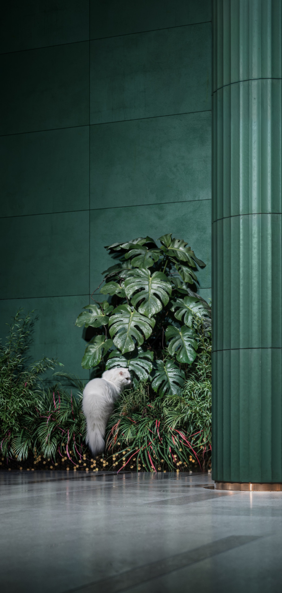 Green Interior