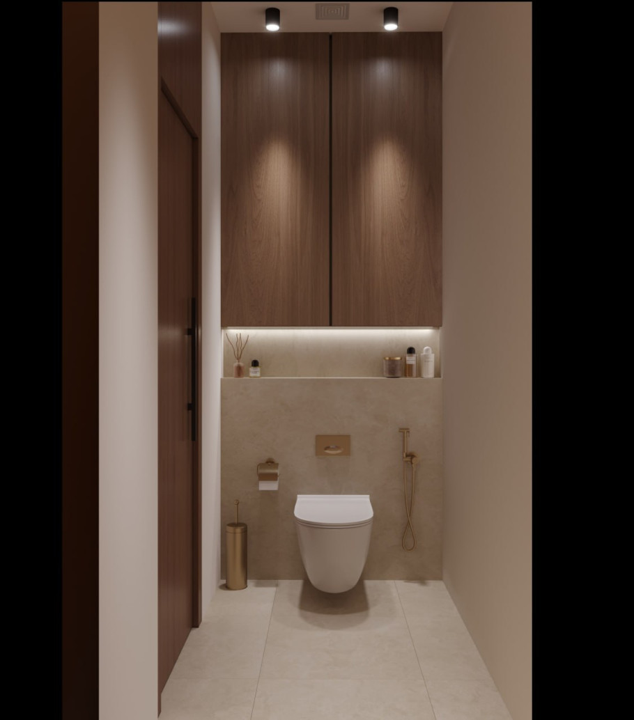 Guest Toilet Design