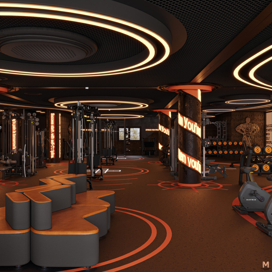 Gym & Fitness Studio