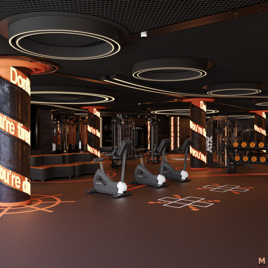 Gym & Fitness Studio