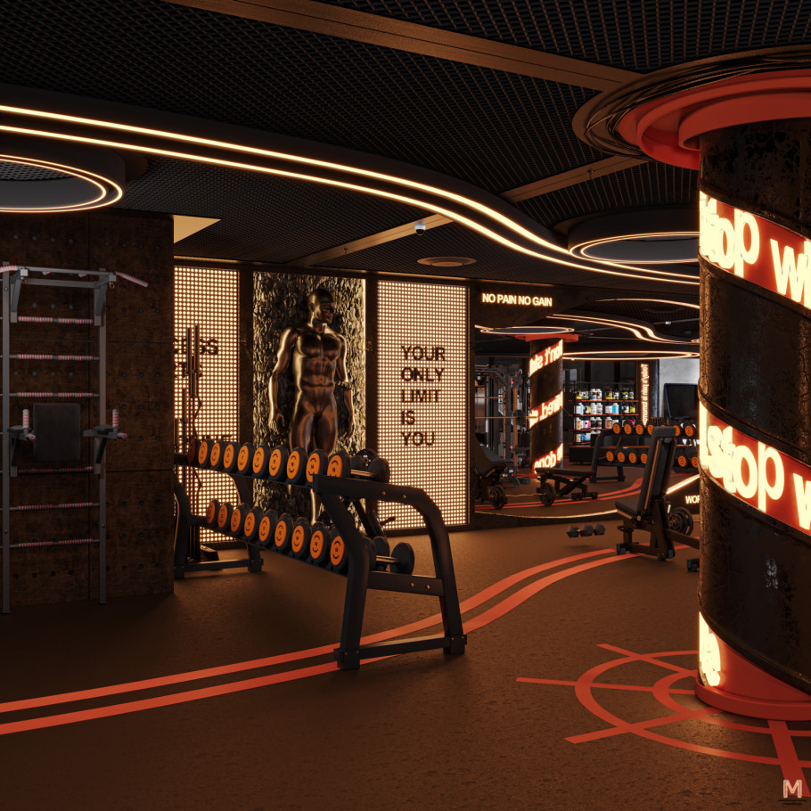 Gym & Fitness Studio