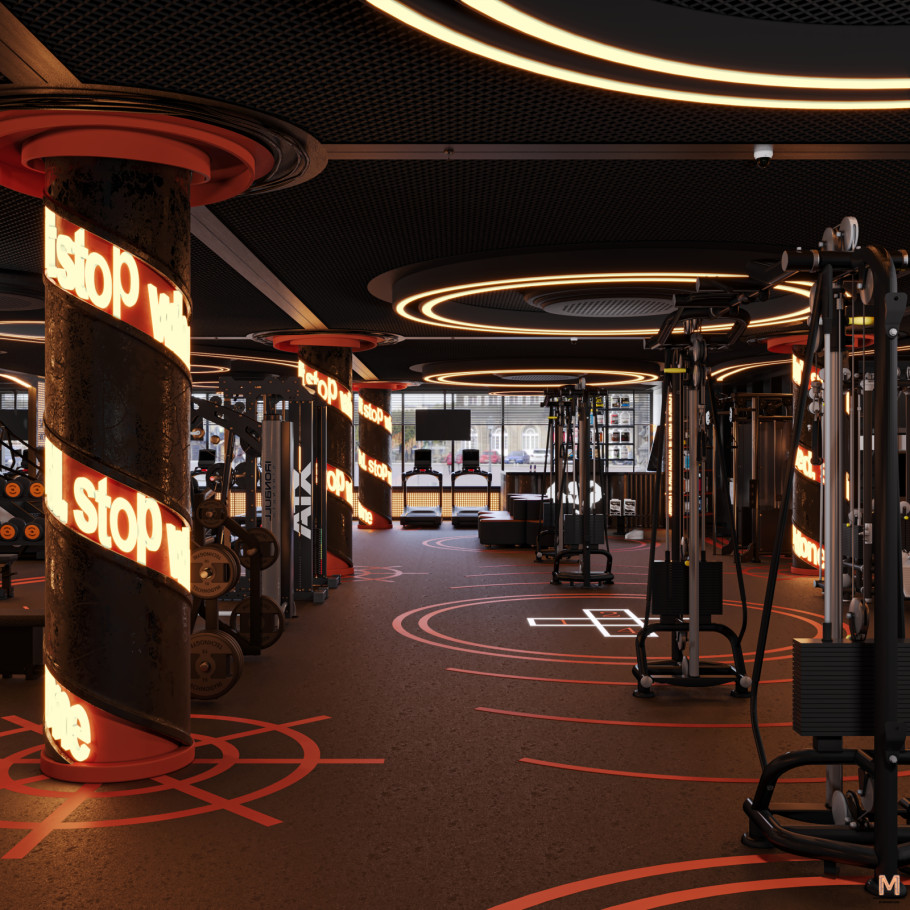 Gym & Fitness Studio