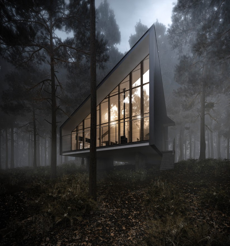 House to catch the forest