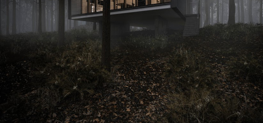 House to catch the forest