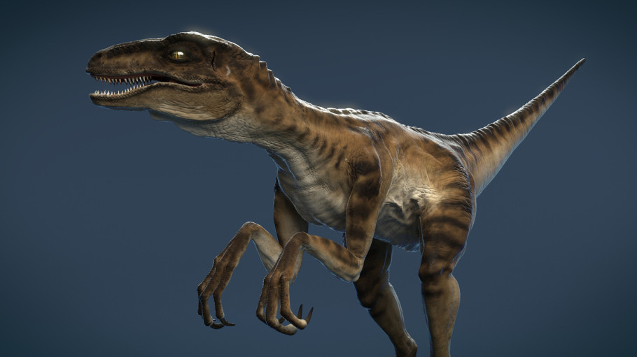 Velociraptor