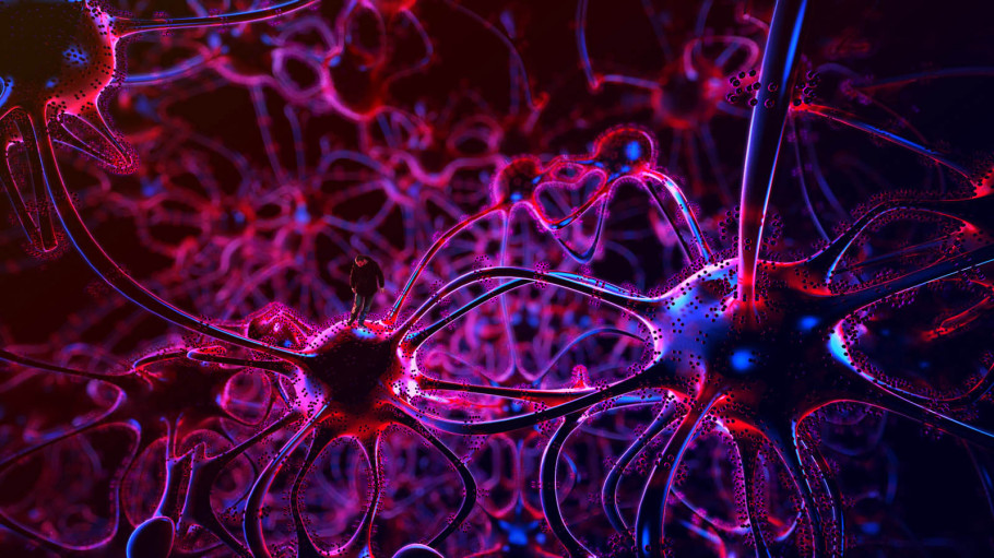 Walking In My Neuron Field