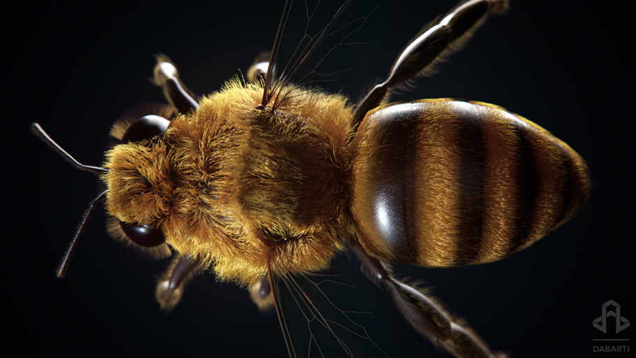 Little Bee