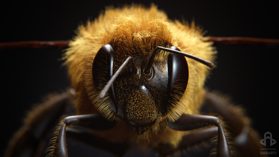 Little Bee