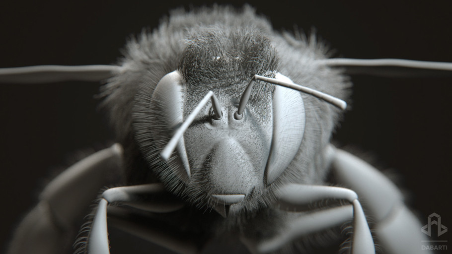 Little Bee