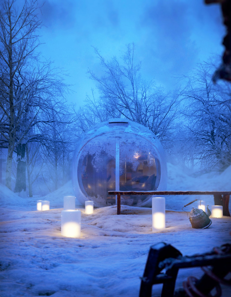 Egg Pod In The Snow