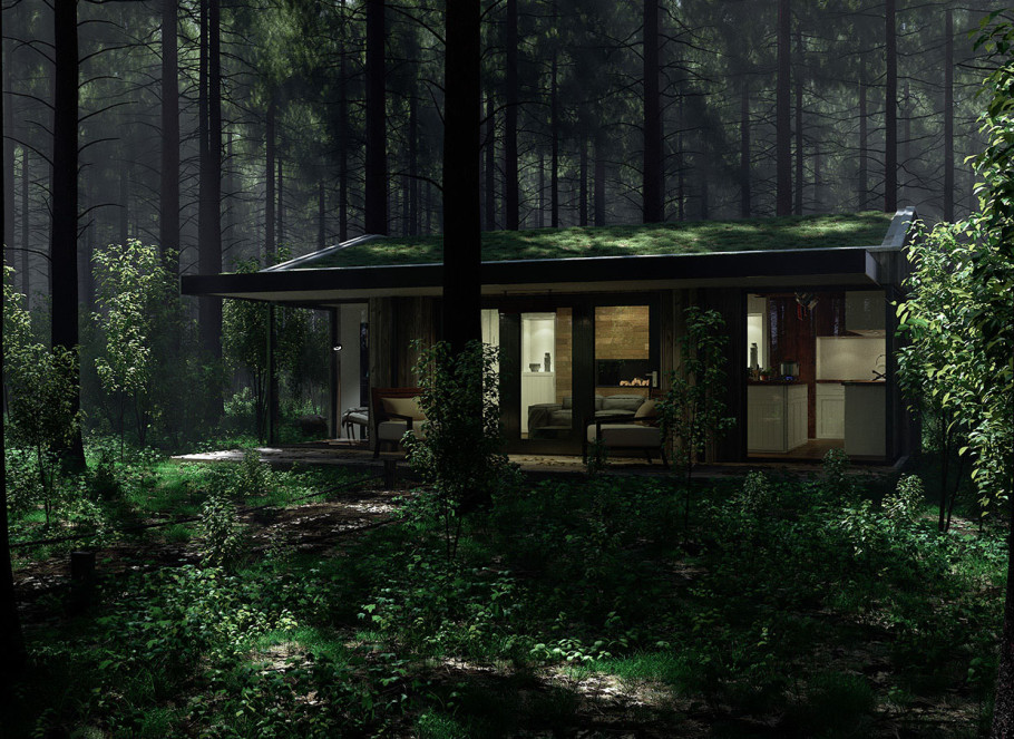 House In Nature