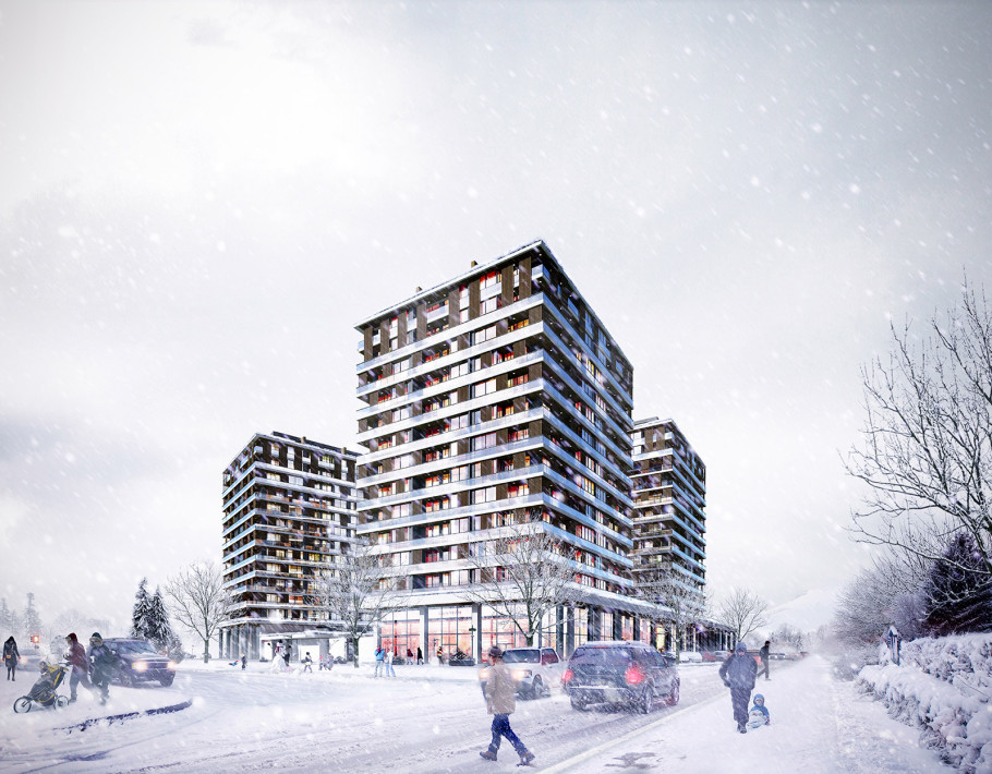 Snow In The City