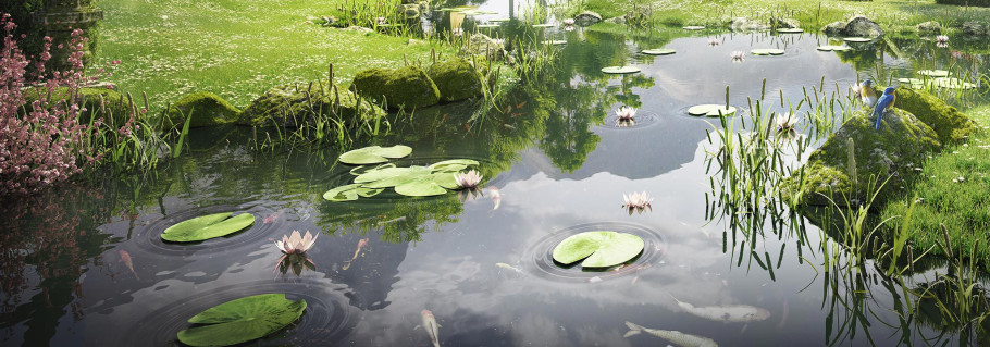 Meditation Garden