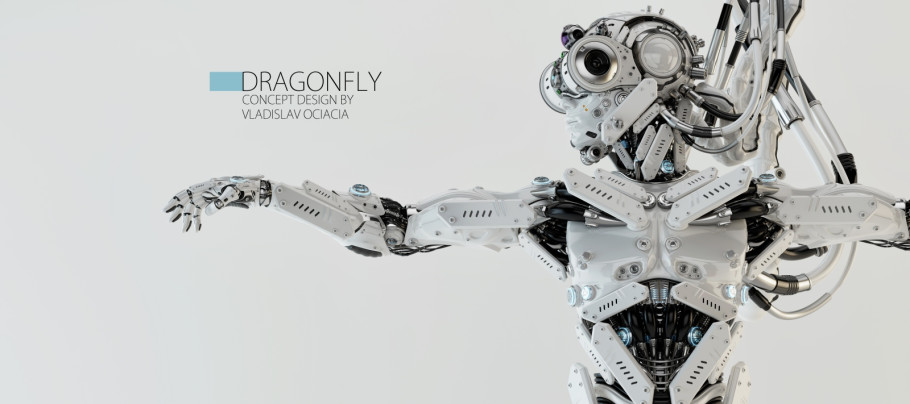 Robot Dragonfly