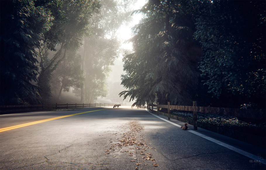 In The Road