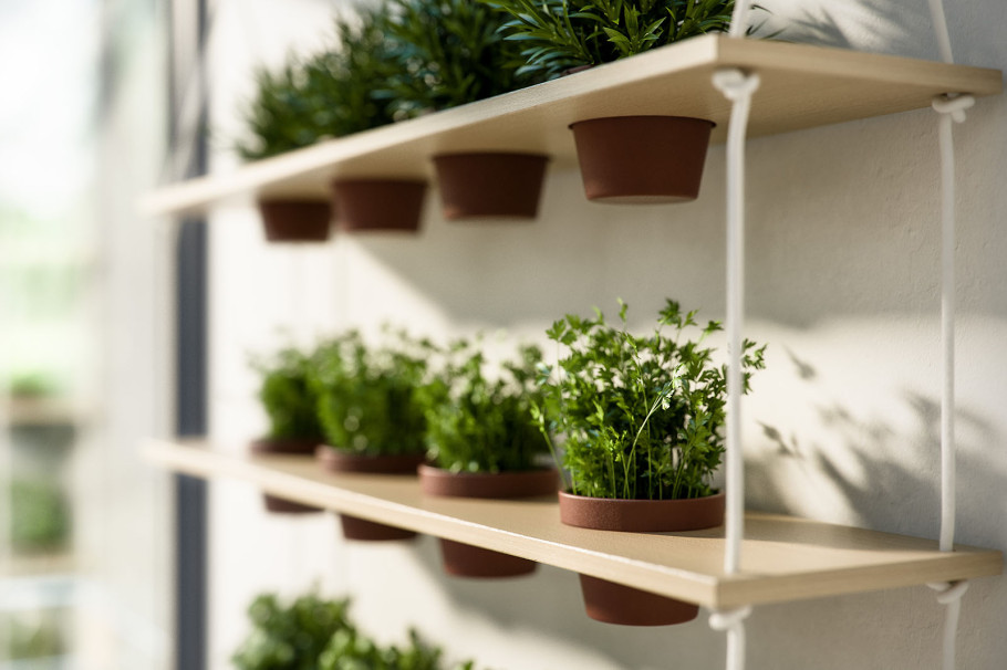 Greenhouse Kitchen