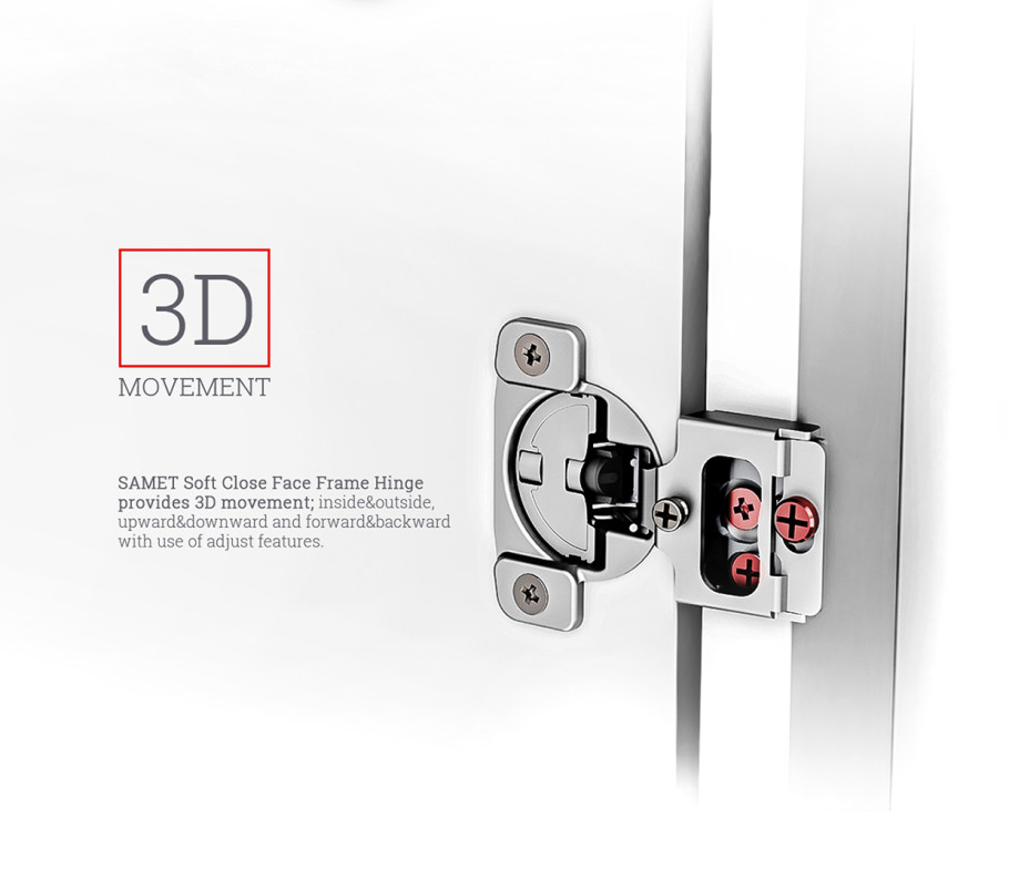 Face Frame Hinge