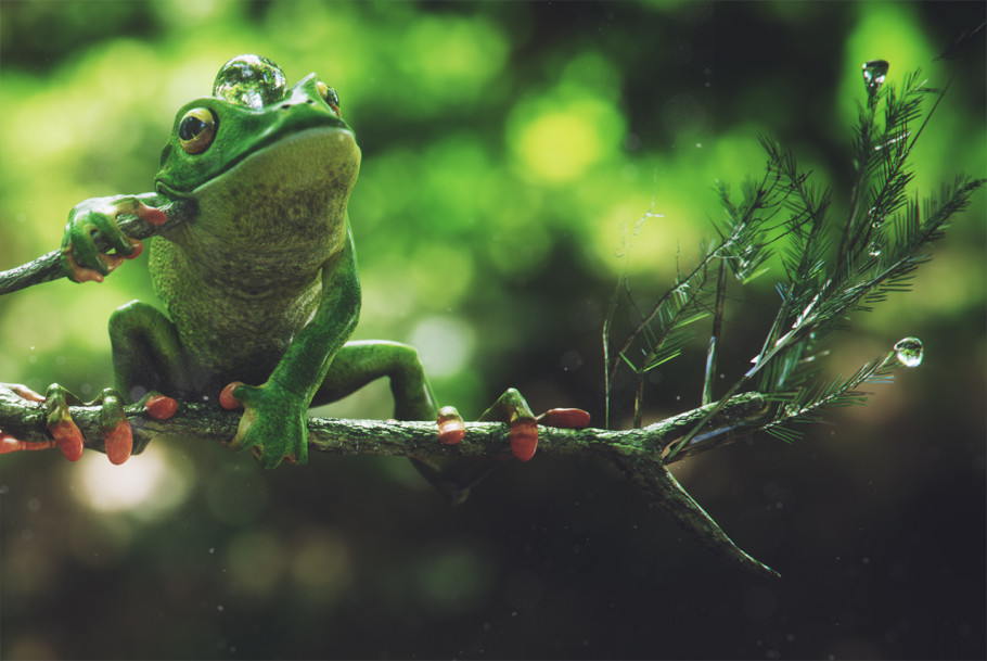 Frog Brothers