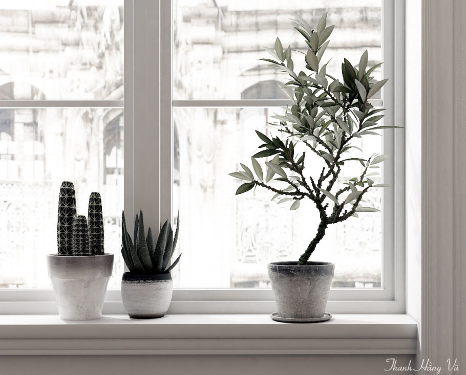 Style Scandinavian