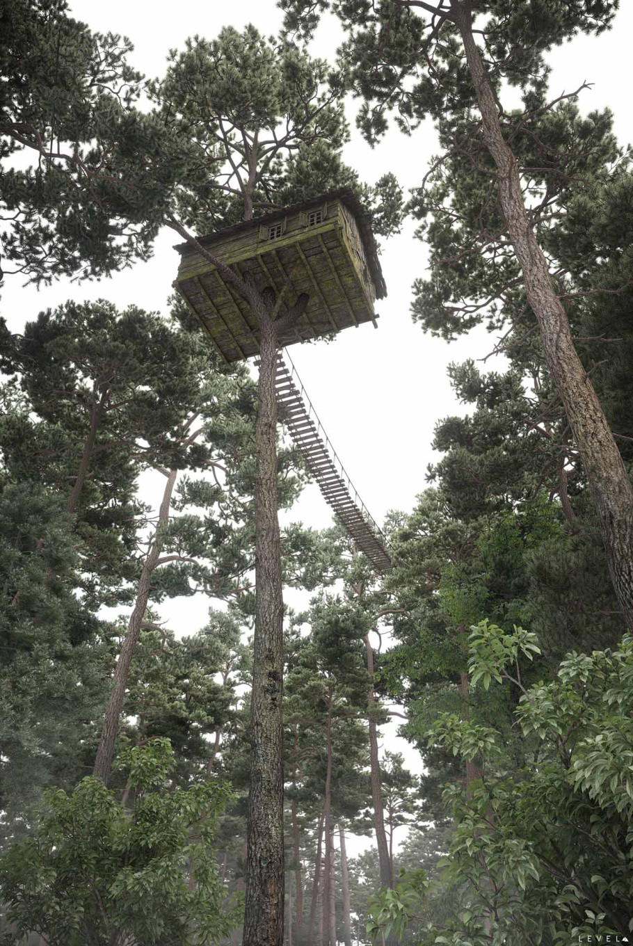 Tree House