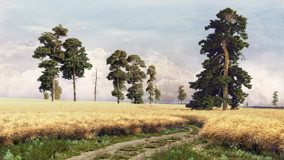 Portfolio Work