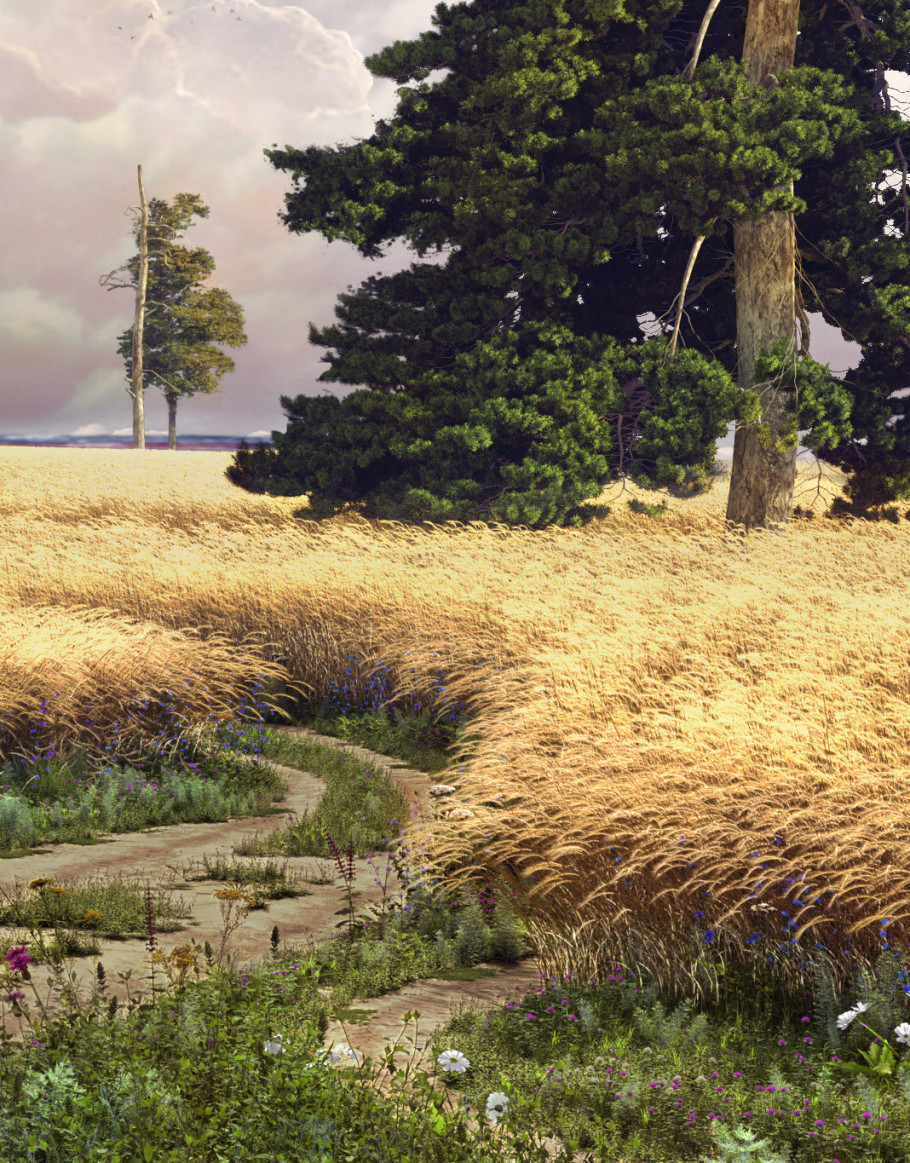 Portfolio Work