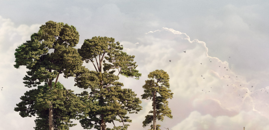 Portfolio Work