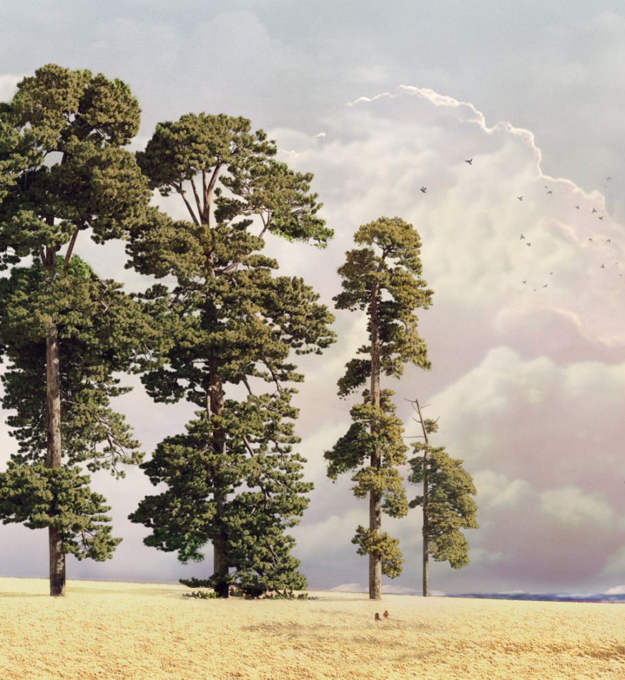 Portfolio Work