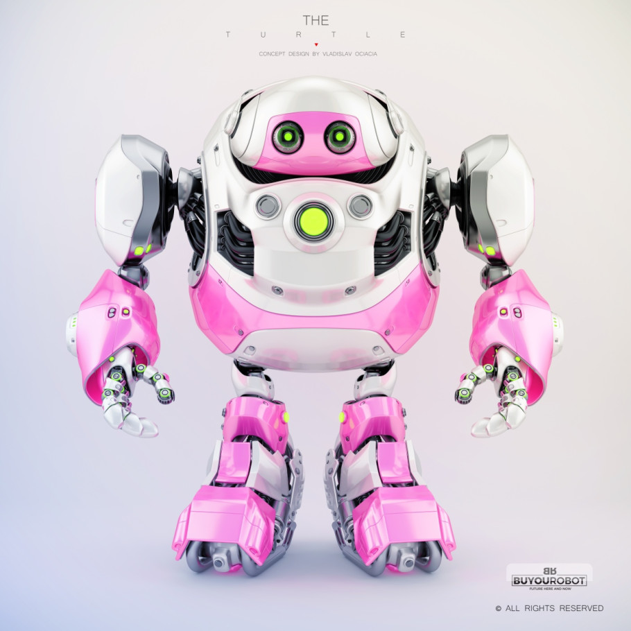 Cyber Turtle