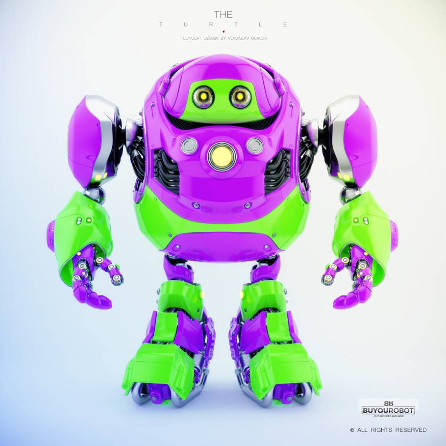 Cyber Turtle