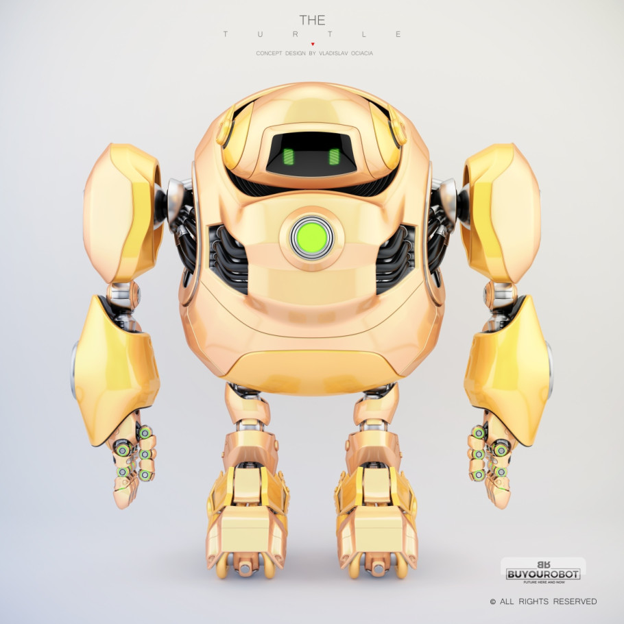 Cyber Turtle