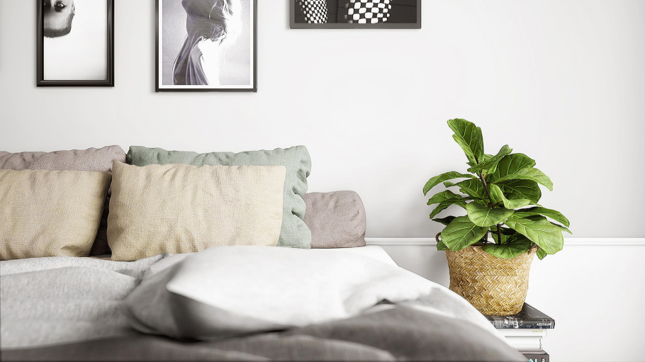 Amsterdam Apartment