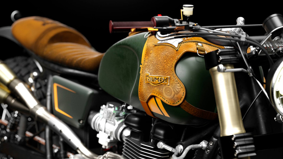 Triumph Performance