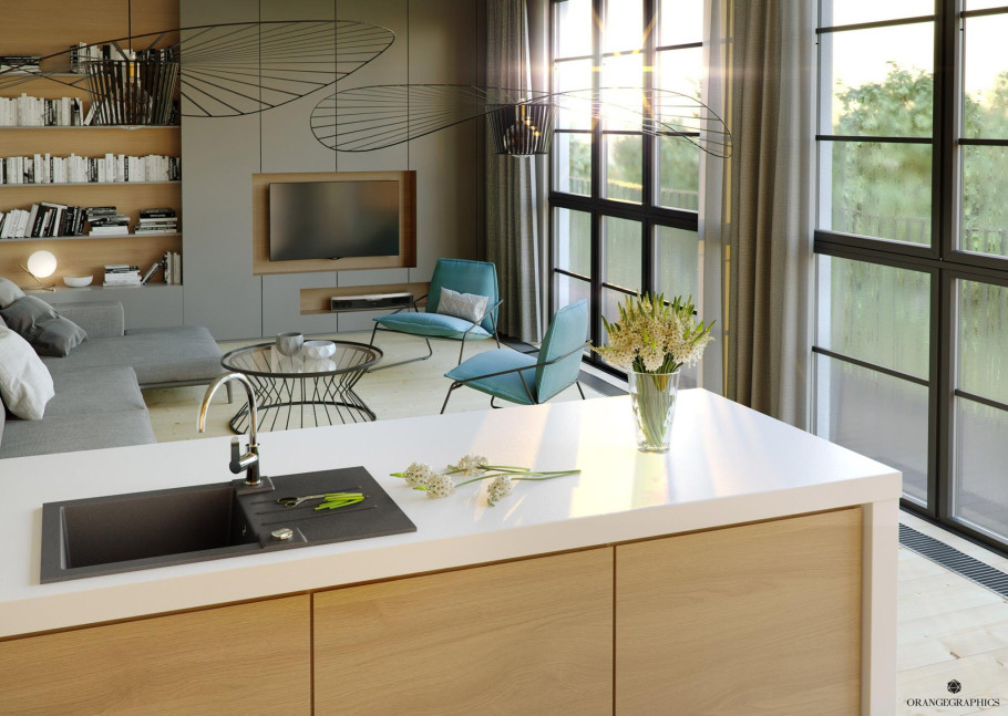 Alveus Kitchens