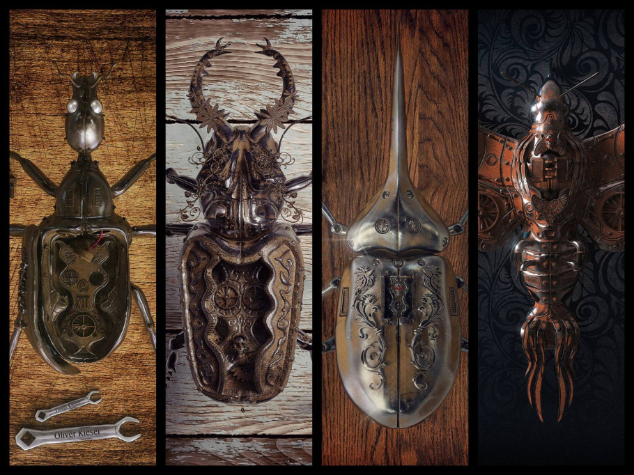 Bugs