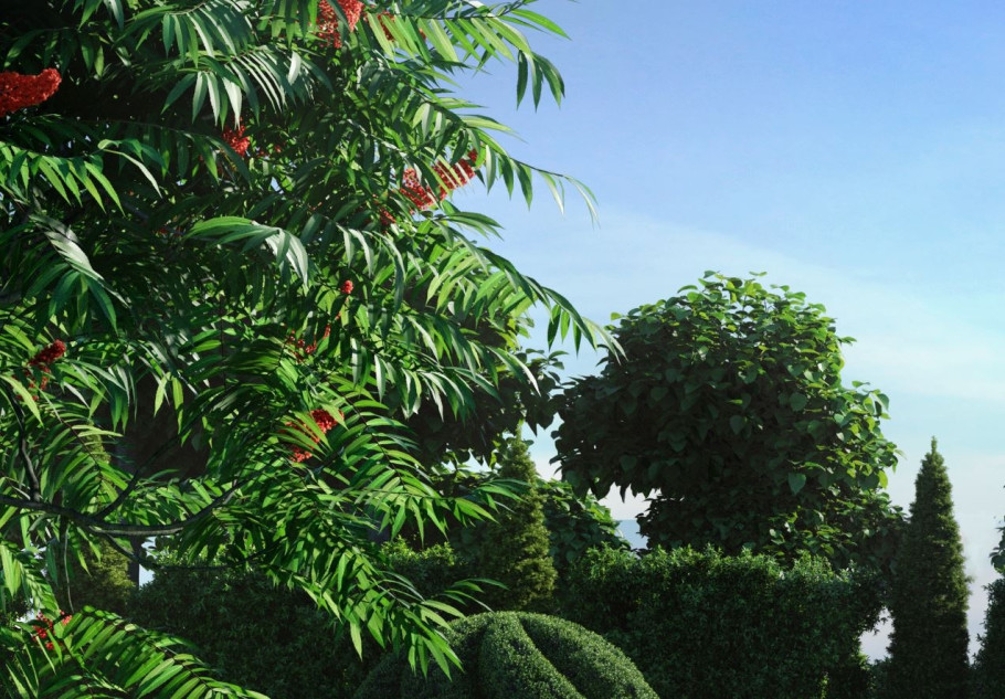 The Garden