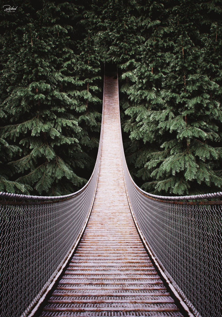 Capilano Bridge