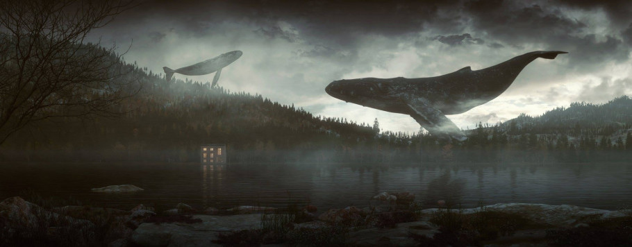 Whales