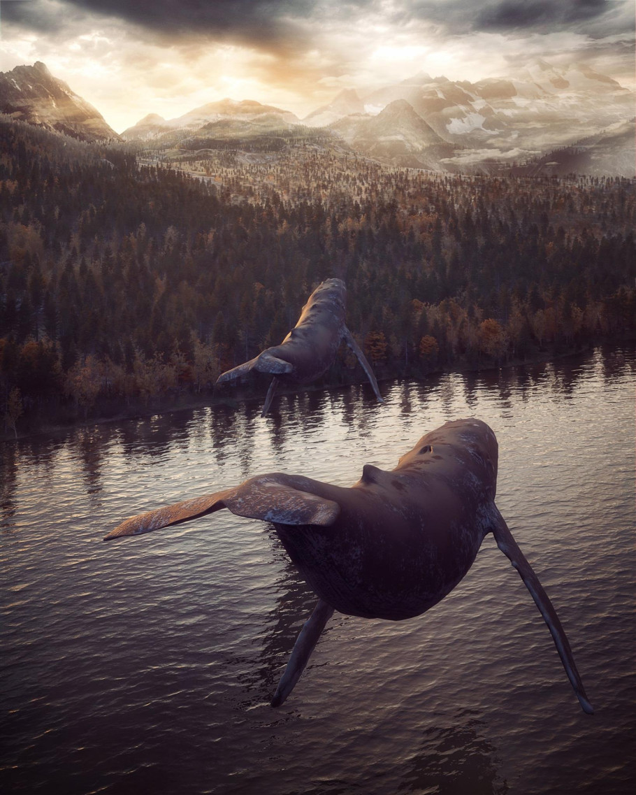 Whales