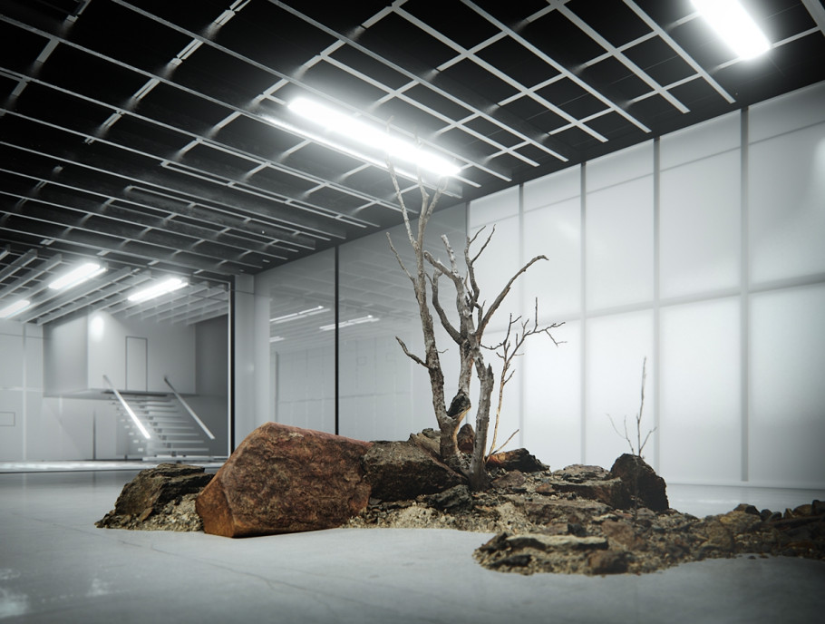 Box Gallery