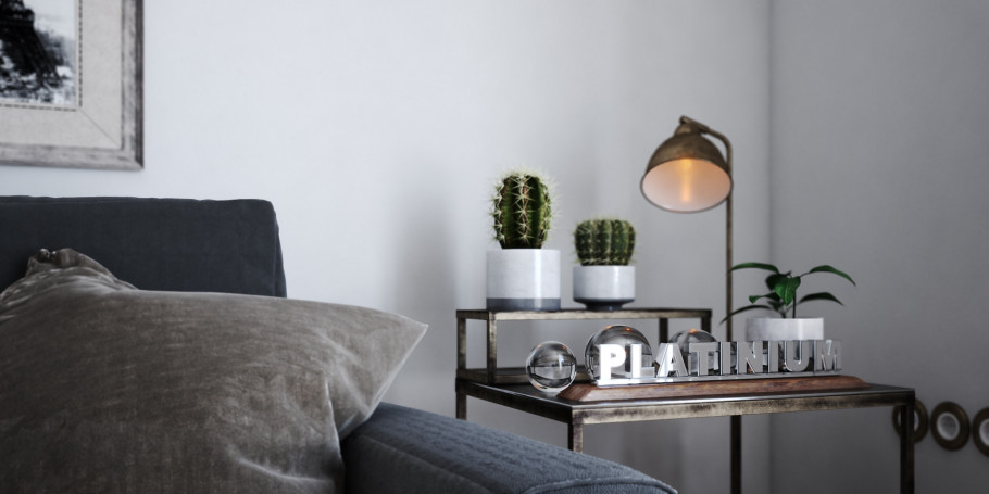 Scandinavian Home