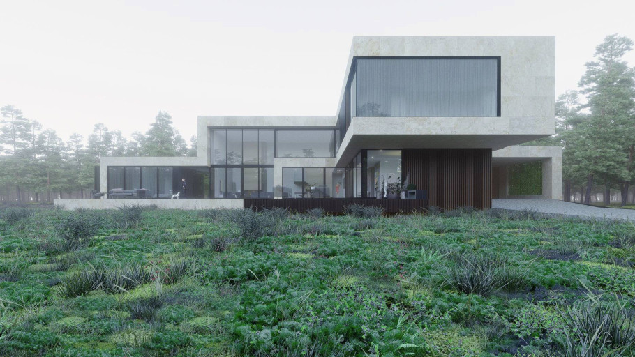 Single Family House