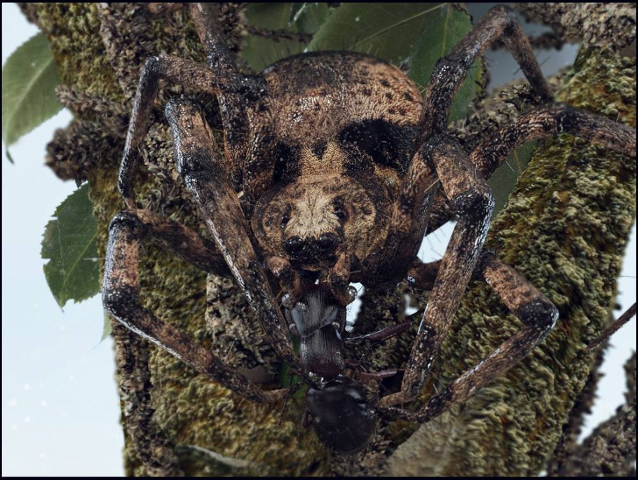 World Of Insects