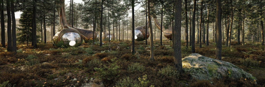 Forest Scifi Mood