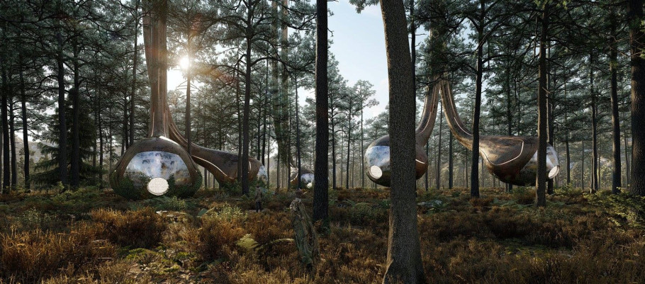 Forest Scifi Mood