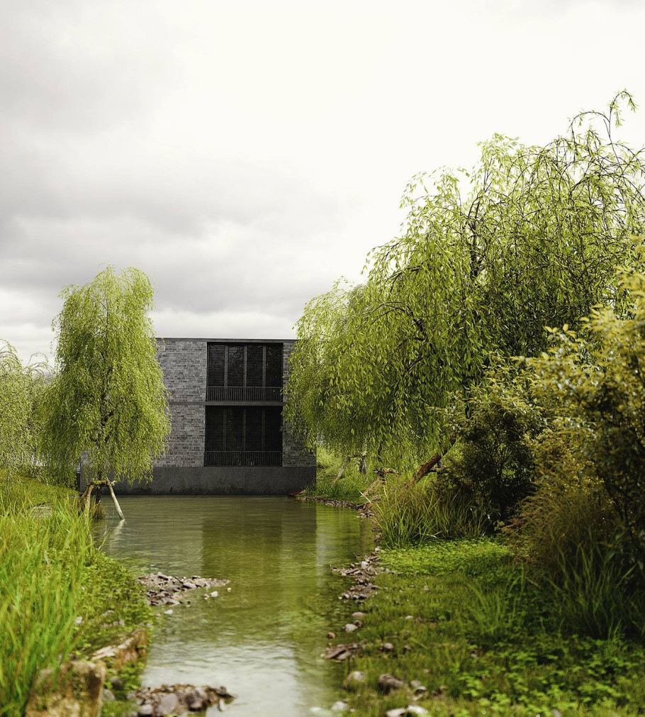 Wetland