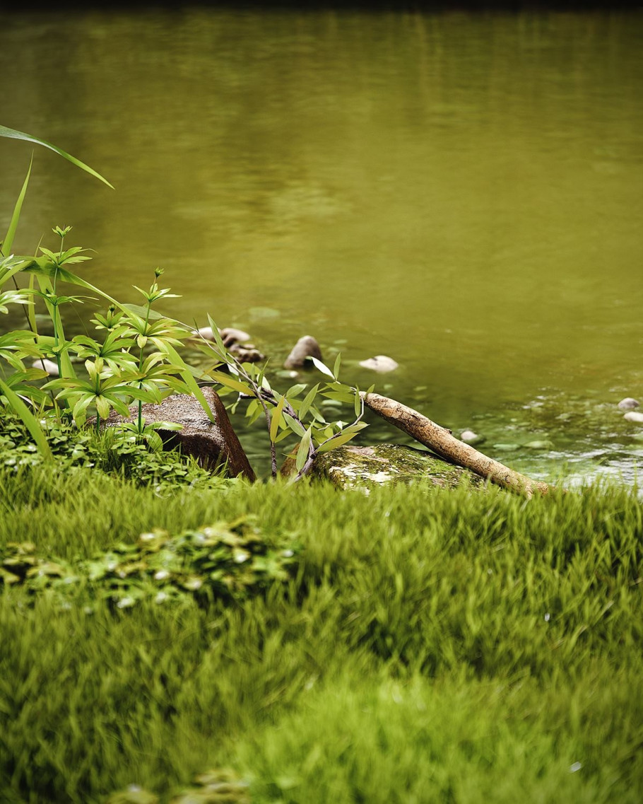 Wetland