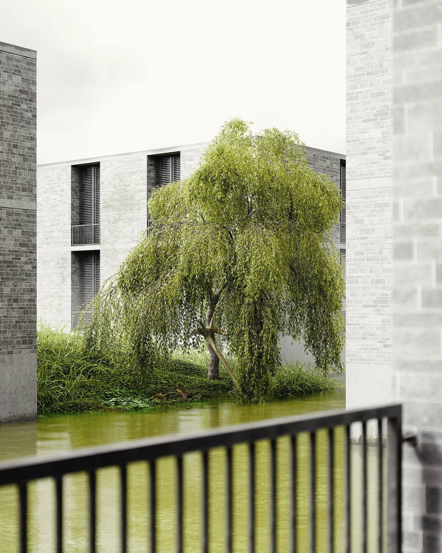 Wetland