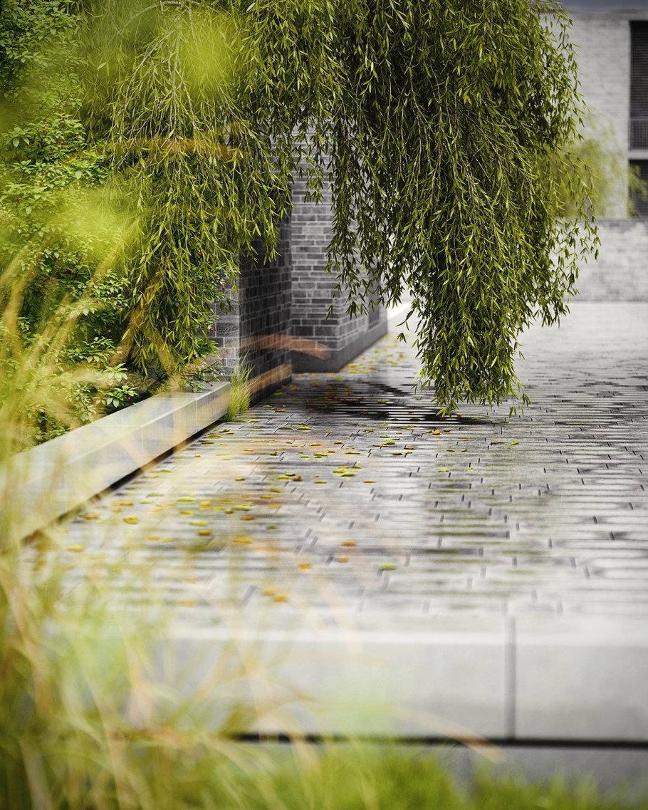Wetland
